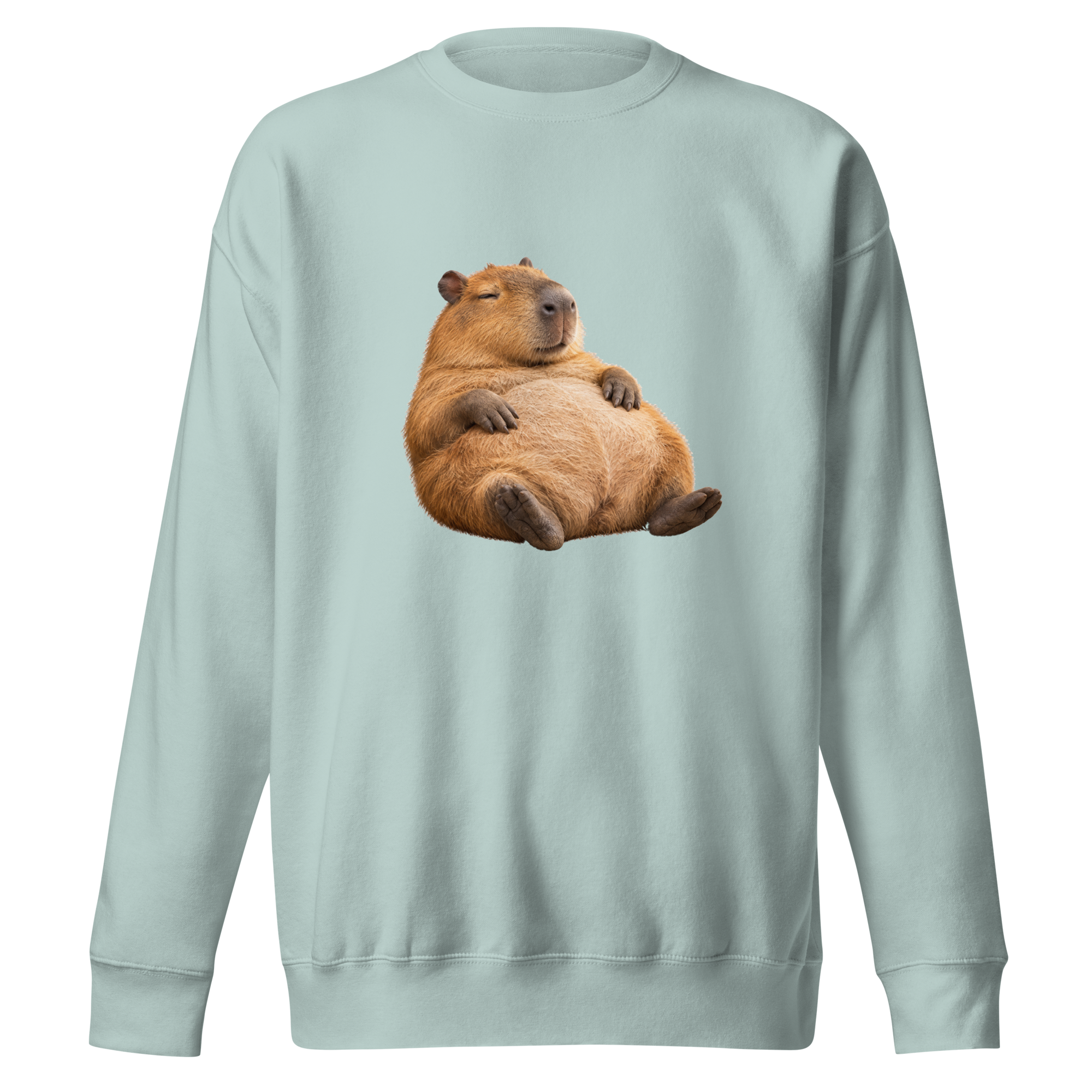 Clocked-Out Capybara, front view